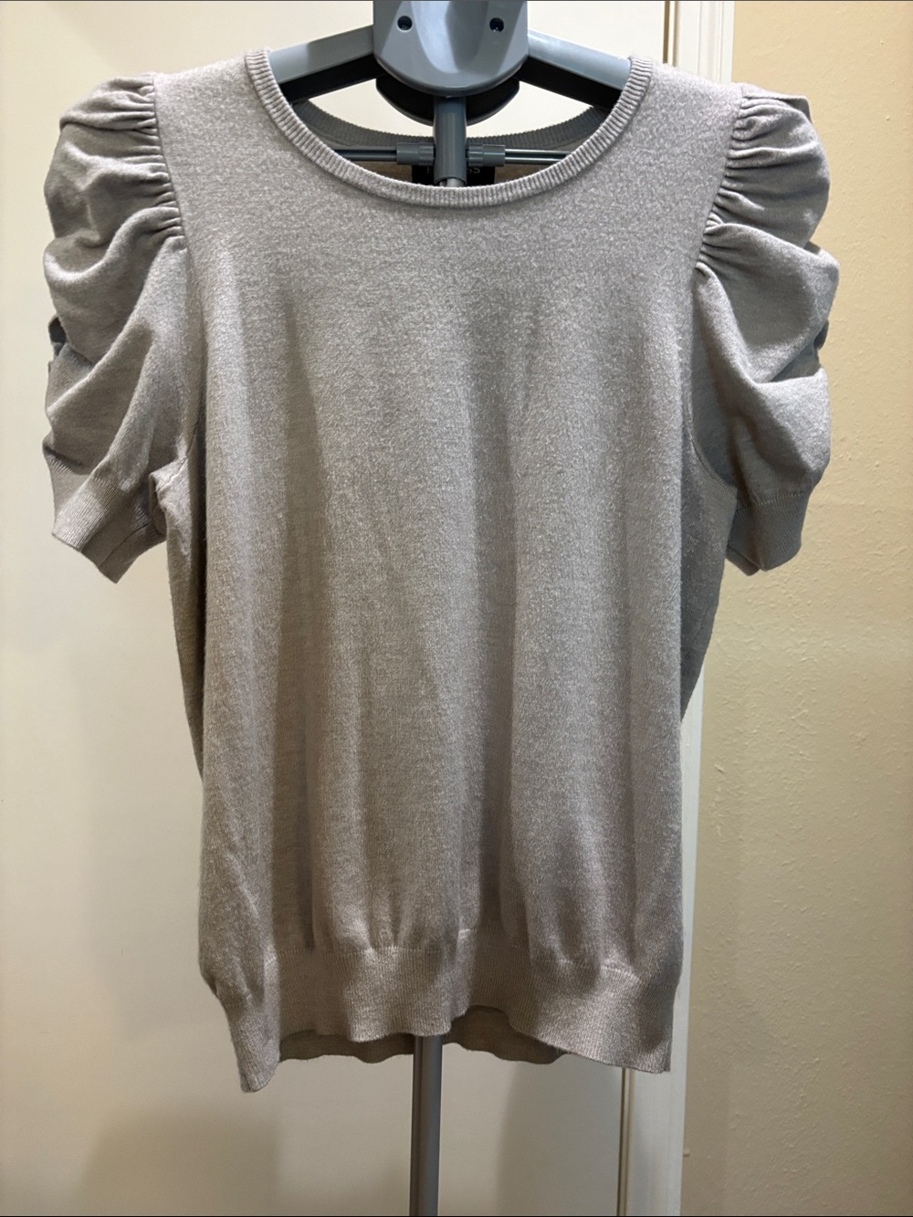 Express Shimmery Puff Sleeve Knit Top in Light Taupe